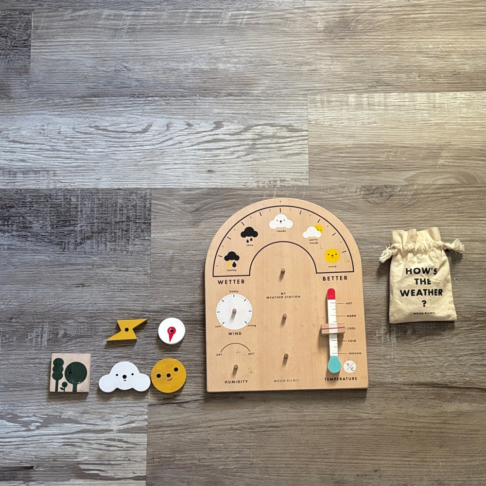 Moon Picnic Weather Station Learning Toy